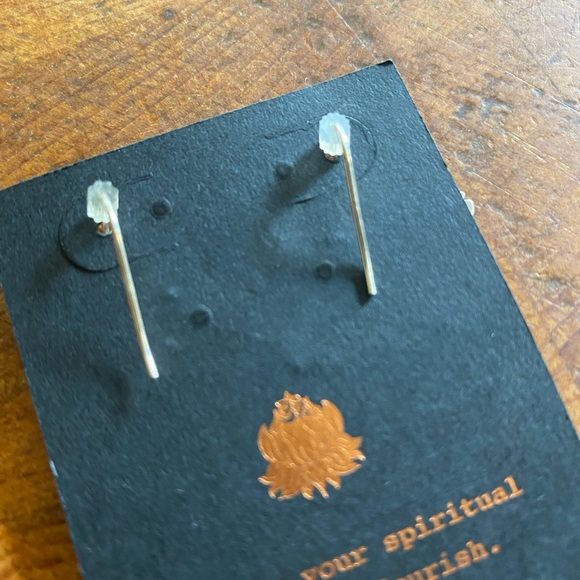 Alex and Ani Lotus Peace Petals Silver Pewter Color Earrings - Picture 3 of 10